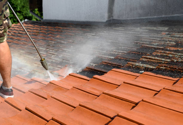 Best Pressure Washing Services Near Me  in Prior Lake, MN